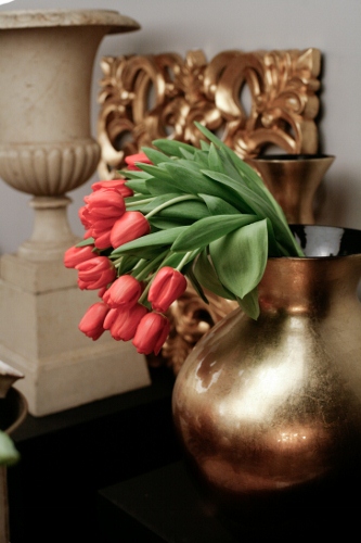 Ritratto di un tulipano